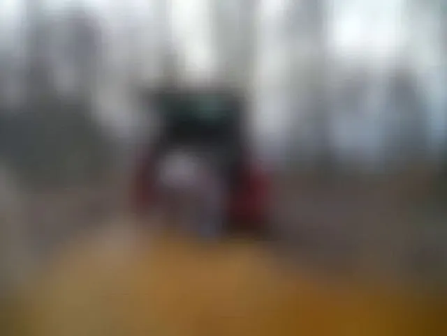 Voyeur im Wald