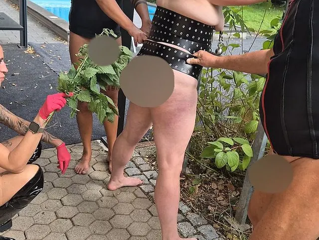 Vorschau aus Geiler Arsch: Lady Medusa reibt Brennnesseln an meinen Arsch und meine Fotze!