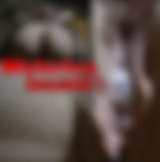 Wehrlos besamt !  :O
