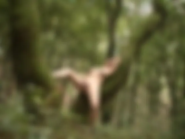 Riesendildo im Wald tief reingerammt
