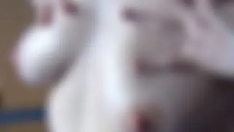 Titten und Babyöl