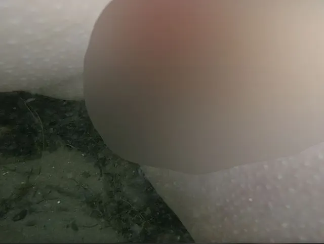 Erste Unterwasser Video schau mir mit tollen Einblicken beim Schwimmen zu