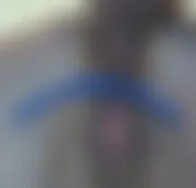 Fick meinen Arsch