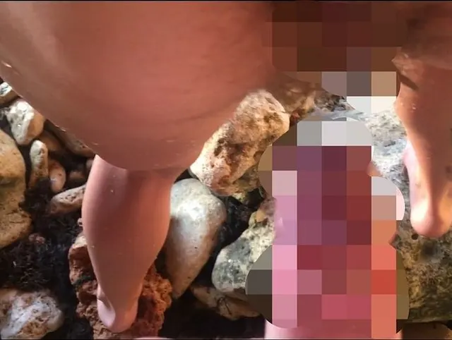 Riskanter öffentlicher CREAMPIE am Strand