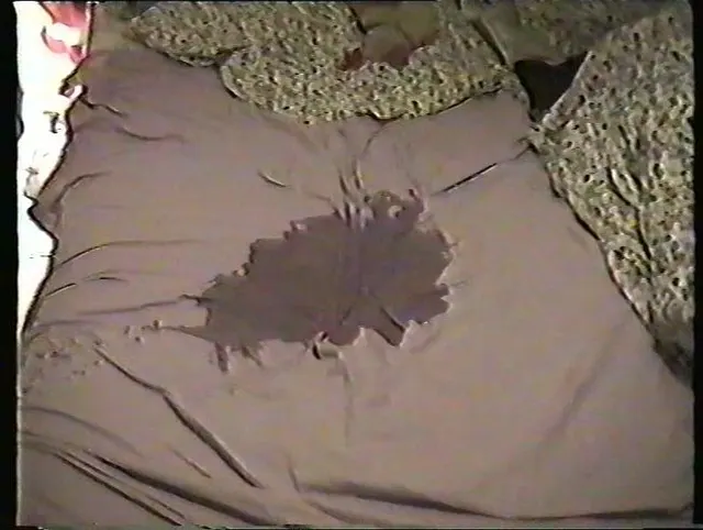Beim Ex ins Bett gepisst