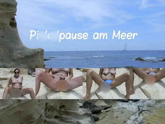 NS 9 ML: Pinkelpause am Meer