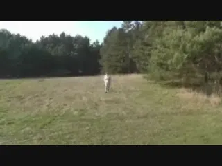 Solo im Regenmantel