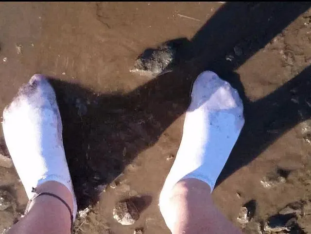 Weiße Sneaker Socken in der Pfütze