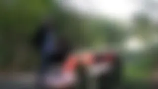 Maulbesamung am Parkplatz