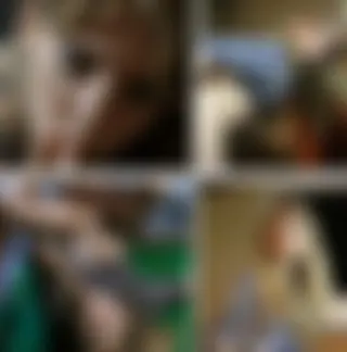 Dieses dreckige Schwein ! Wieso Ich ?