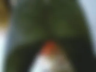 ** Best of NS **