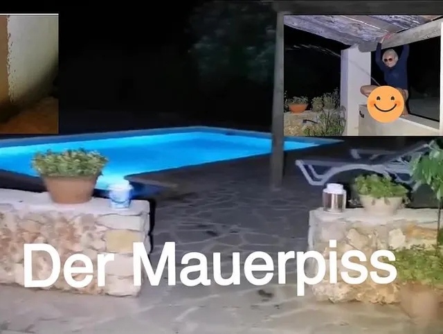 Der Mauerpiss