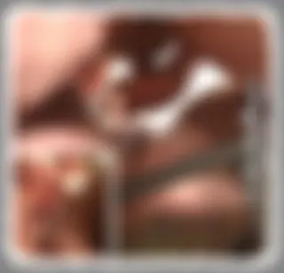 **SPERMAFOTZE**