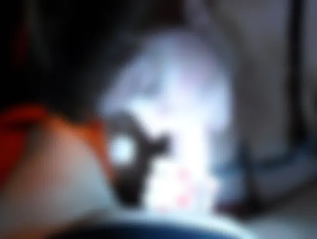 BLOWJOB MIT VIEL SPERMA IM PORNOKINO AM 6.11.2013