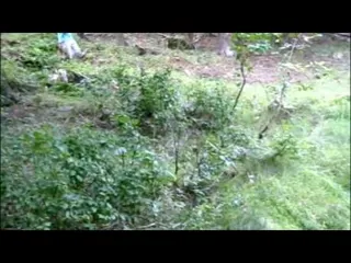 Er hat sich verlaufen im Wald