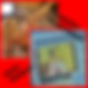 *Beim Camsex bespannert*