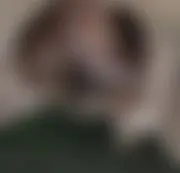 Pisspussy