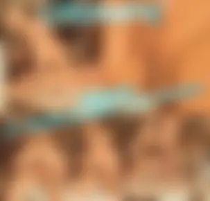 SCHEIßE MIT MEINEM EX OHNE GUMMI FICKEN-CREAMPIE