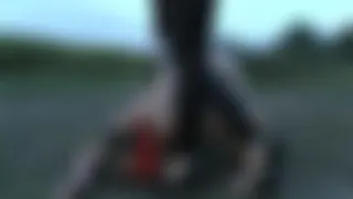 Stella45