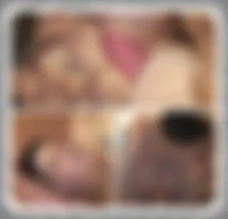 **GRUPPENSEX IM PORNOKINO**