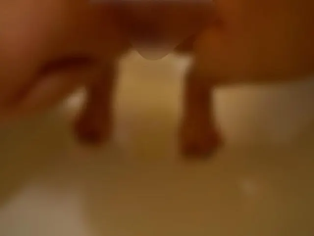 Stiefmutter pisst im Badezimmer