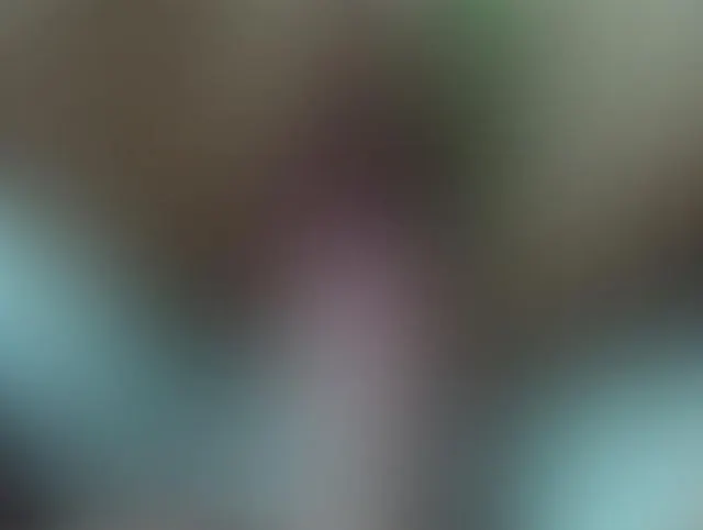 Big Cock Bohren rasiert Teen Pussy POV