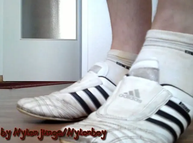 FAN Artikel 2-05: Sneaker besamen