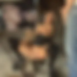 VOLLGEPISSTE SPERMASAU