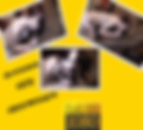Blackman geil abgemolken