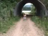 Der Exhibitionist vom Baggersee