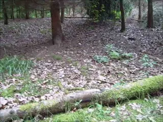 Video aus 2007 war anscheinend schon immer geil Outdoor Blasen