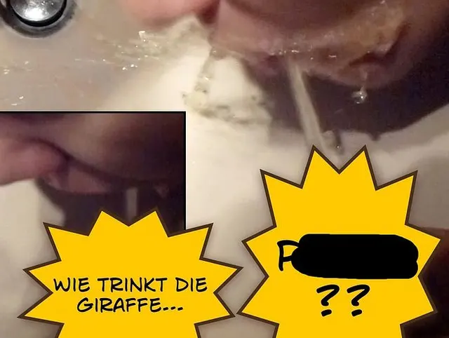 Wie trinkt die Giraffe Pisse?
