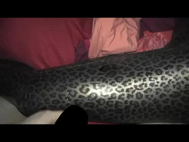 Hm mein Langweiler durfte auf die Leo Leggin wichsen natürlich war diese schon davor angewichst lach