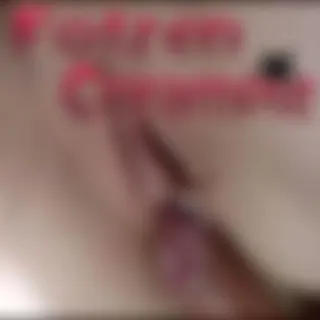 Fotzen CREAMPIE - NAHAUFNAHME !!!