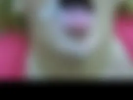 Geiler Outdoor Gesichts Blowjob schnell in die Luder-Fresse gewichst lach