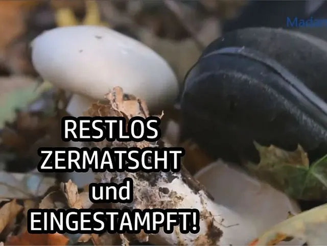 RESTLOS ZERMATSCHT und EINGESTAMPFT!