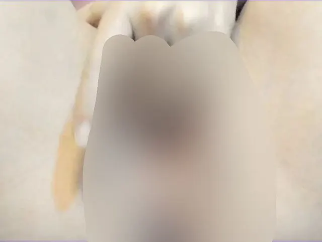 Meine Kühe sind während der Live-Übertragung sehr nah an der Kamera zu sehen.
