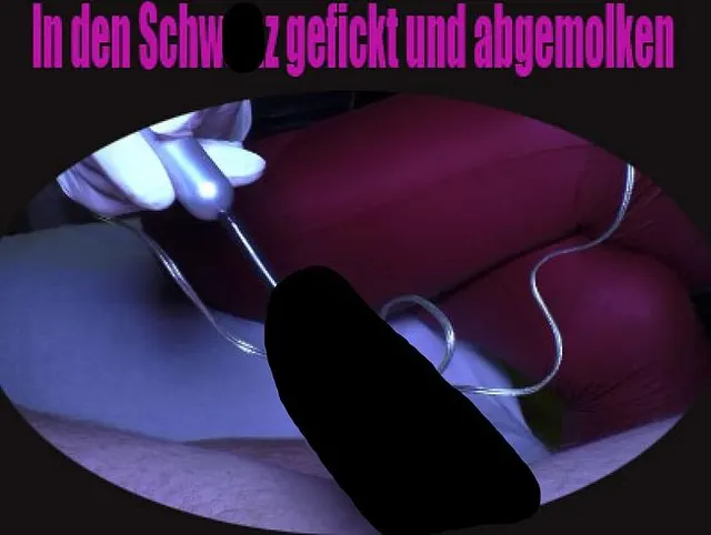 IN DEN SCHWANZ GEFICKT UND ABGEMOLKEN