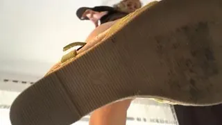 Stella319