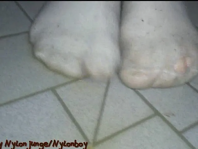 Stinke Socken bepissen **Geschenk einer Freundin**