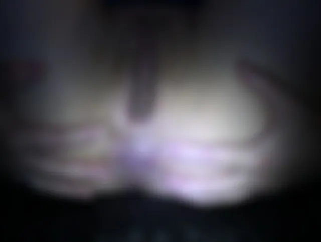 Süßes Arschloch verwöhnt