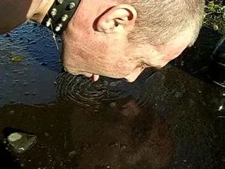 OUTDOOR PETPLAY