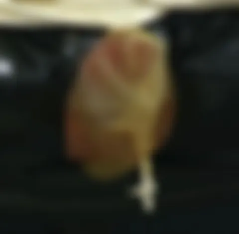 Gummi Pisshose