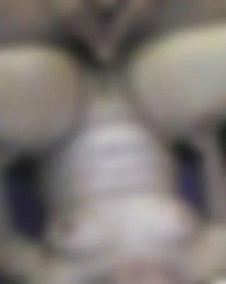 Pissen, Squirten, Sperma
